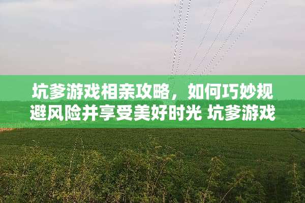 坑爹游戏相亲攻略，如何巧妙规避风险并享受美好时光 坑爹游戏相亲攻略