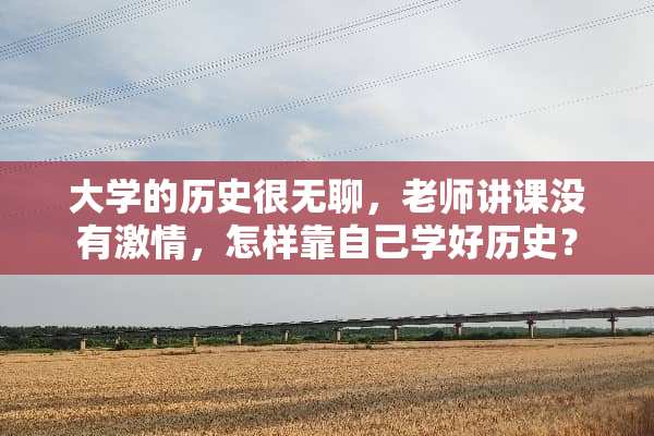 大学的历史很无聊，老师讲课没有**，怎样靠自己学好历史？