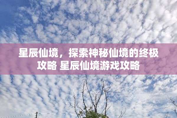 星辰仙境，探索神秘仙境的终极攻略 星辰仙境游戏攻略