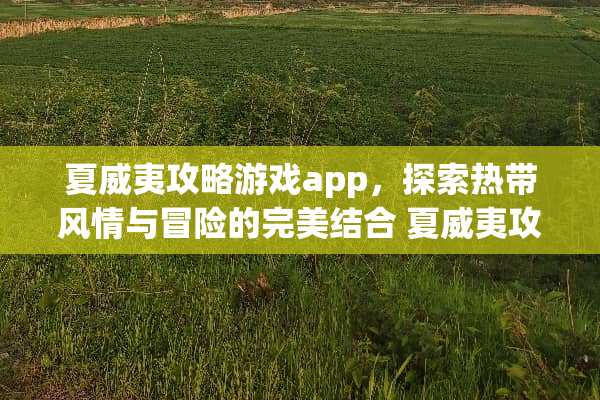 夏威夷攻略游戏app，探索热带风情与冒险的完美结合 夏威夷攻略游戏app