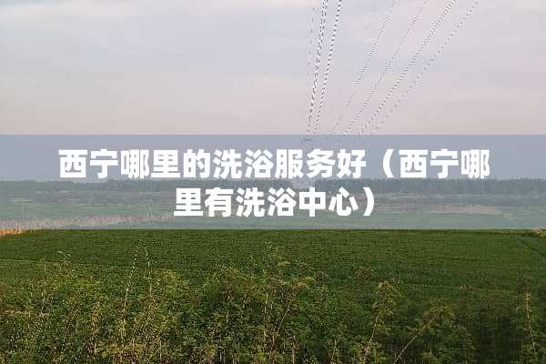 西宁哪里的洗浴服务好（西宁哪里有洗浴中心）