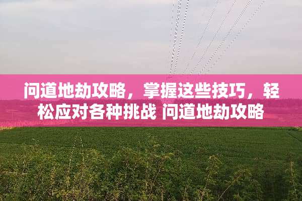 问道地劫攻略，掌握这些技巧，轻松应对各种挑战 问道地劫攻略