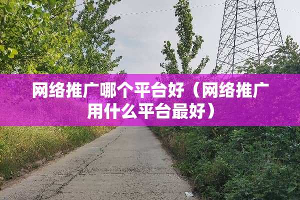 网络推广哪个平台好（网络推广用什么平台最好）
