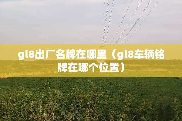gl8出厂名牌在哪里（gl8车辆铭牌在哪个位置）