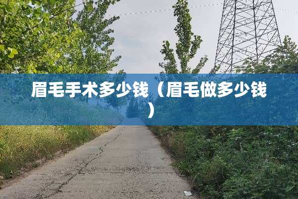 眉毛手术多少钱（眉毛做多少钱）