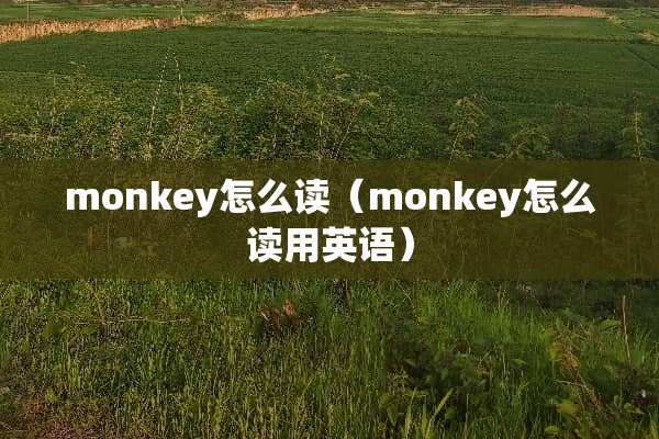 monkey怎么读（monkey怎么读用英语）