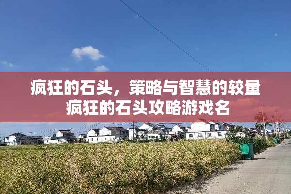 疯狂的石头,策略与智慧的较量 疯狂的石头攻略游戏名 疯狂的石头,策略与智慧的较量 疯狂的石头攻略游戏名