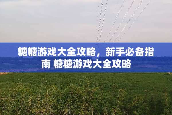 糖糖游戏大全攻略，新手必备指南 糖糖游戏大全攻略