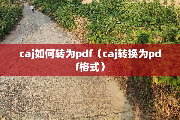 caj如何转为pdf（caj转换为pdf格式）