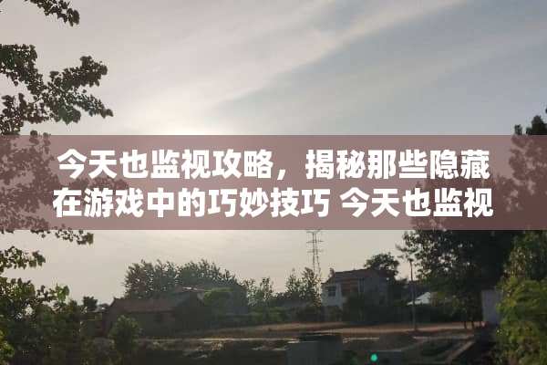 今天也监视攻略，揭秘那些隐藏在游戏中的巧妙技巧 今天也监视攻略