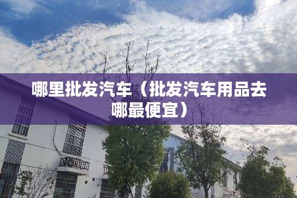 哪里批发汽车（批发汽车用品去哪最便宜）