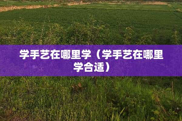 学手艺在哪里学（学手艺在哪里学合适）