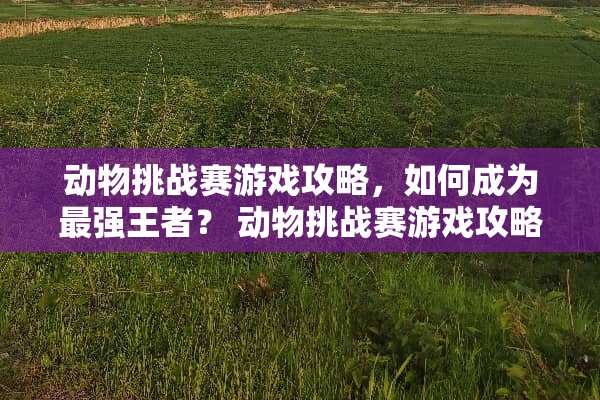 动物挑战赛游戏攻略，如何成为最强王者？ 动物挑战赛游戏攻略
