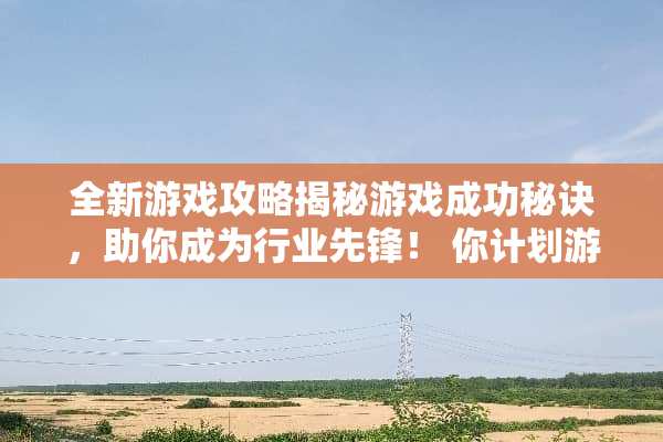 全新游戏攻略揭秘游戏成功秘诀，助你成为行业先锋！ 你计划游戏攻略