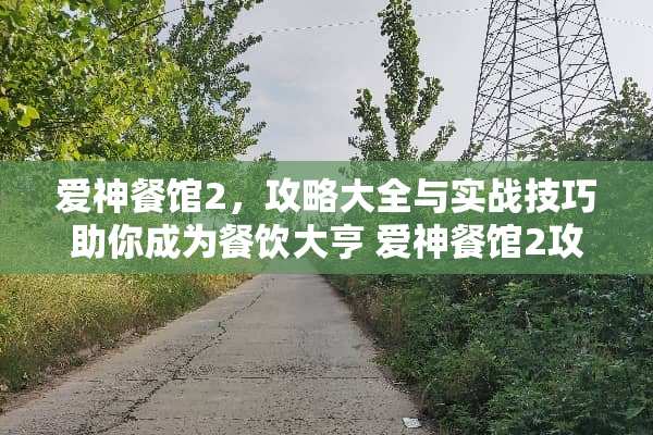 爱神餐馆2，攻略大全与实战技巧助你成为餐饮大亨 爱神餐馆2攻略