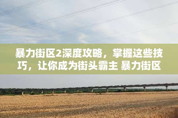 **街区2深度攻略,掌握这些技巧,让你成为街头霸主**街区2攻略 **街区2深度攻略,掌握这些技巧,让你成为街头霸主**街区2攻略