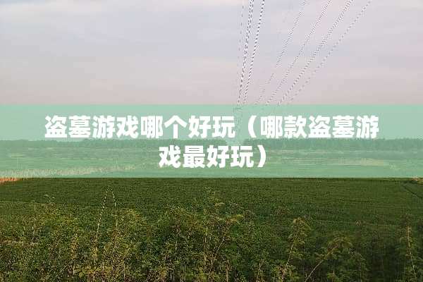 盗墓游戏哪个好玩（哪款盗墓游戏最好玩）