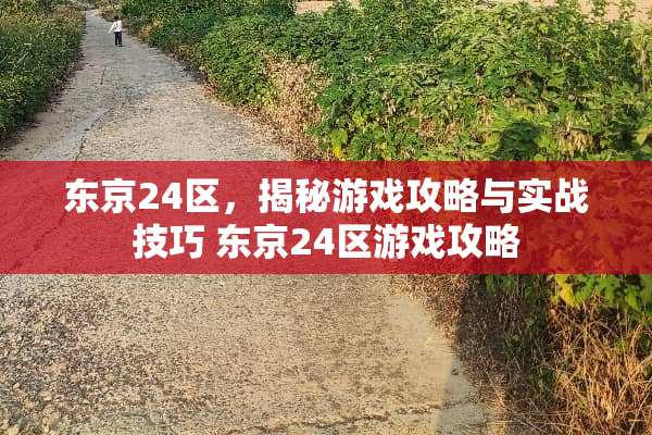 东京24区，揭秘游戏攻略与实战技巧 东京24区游戏攻略