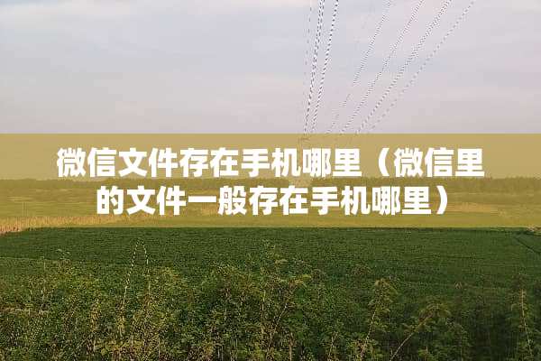 微信文件存在手机哪里（微信里的文件一般存在手机哪里）