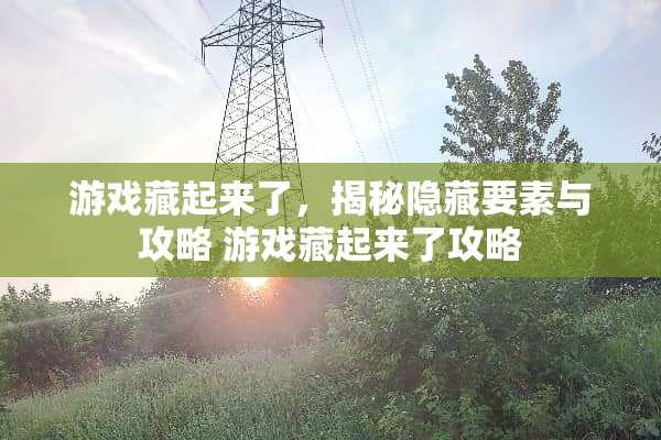 游戏藏起来了，揭秘隐藏要素与攻略 游戏藏起来了攻略
