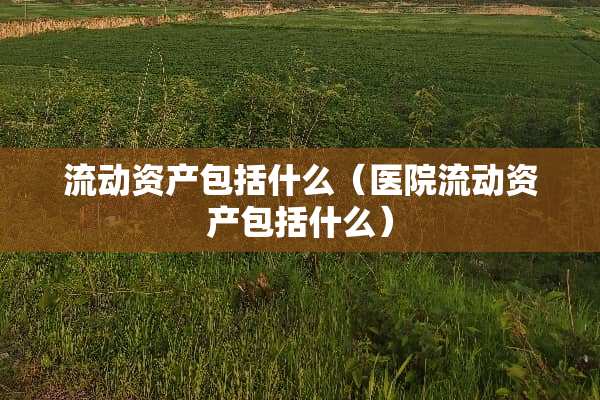 流动资产包括什么(医院流动资产包括什么) 流动资产包括什么(医院流动资产包括什么)