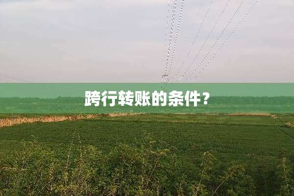 跨行转账的条件？