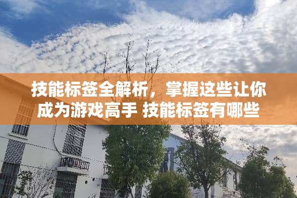 技能标签全解析，掌握这些让你成为游戏高手 技能标签有哪些
