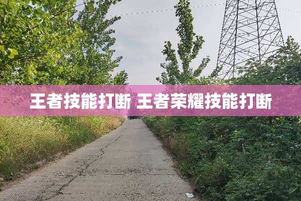 王者技能打断 王者荣耀技能打断