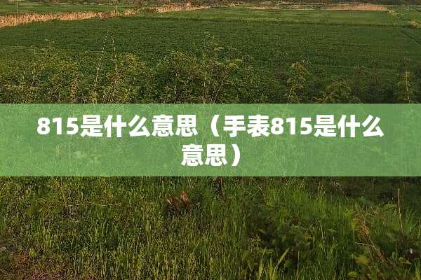815是什么意思（手表815是什么意思）