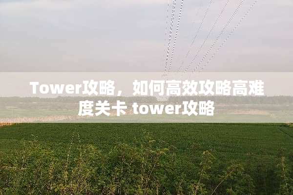 Tower攻略，如何高效攻略高难度关卡 tower攻略
