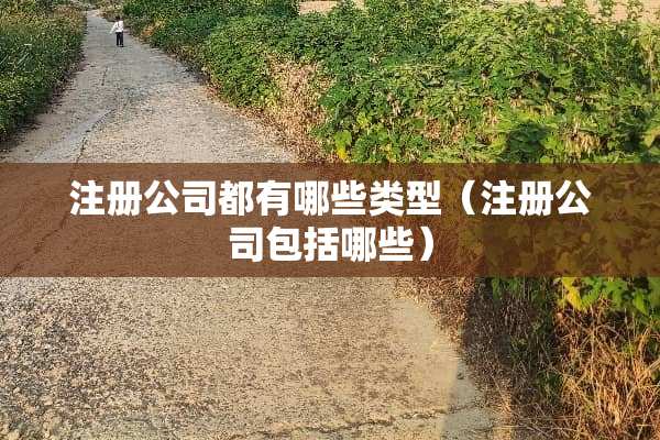 注册公司都有哪些类型（注册公司包括哪些）