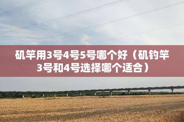 矶竿用3号4号5号哪个好(矶钓竿3号和4号选择哪个适合) 矶竿用3号4号5号哪个好(矶钓竿3号和4号选择哪个适合)