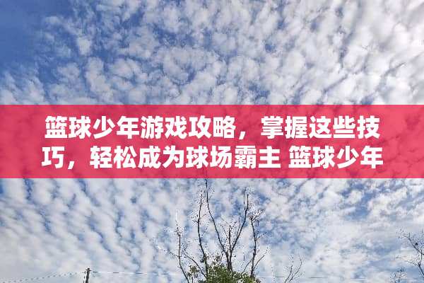 篮球少年游戏攻略，掌握这些技巧，轻松成为球场霸主 篮球少年的游戏攻略