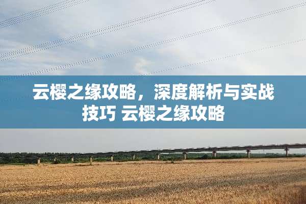 云樱之缘攻略，深度解析与实战技巧 云樱之缘攻略