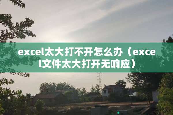 excel太大打不开怎么办（excel文件太大打开无响应）