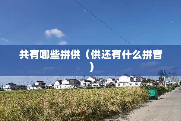 共有哪些拼供（供还有什么拼音）