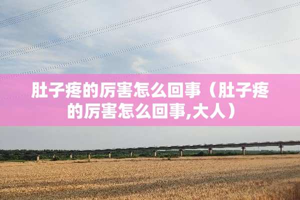 肚子疼的厉害怎么回事(肚子疼的厉害怎么回事,大人) 肚子疼的厉害怎么回事(肚子疼的厉害怎么回事,大人)