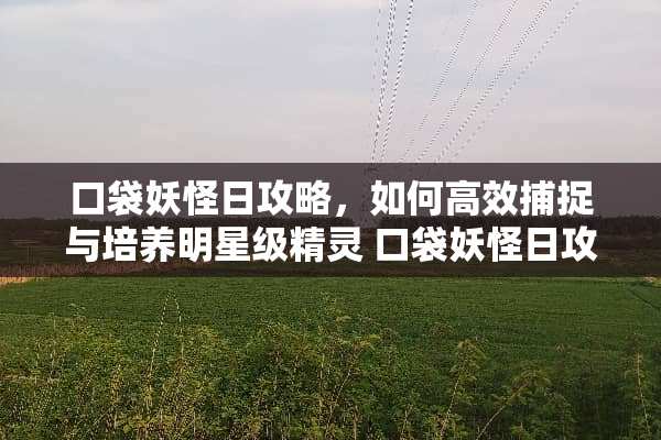 口袋妖怪日攻略，如何高效捕捉与培养明星级精灵 口袋妖怪日攻略