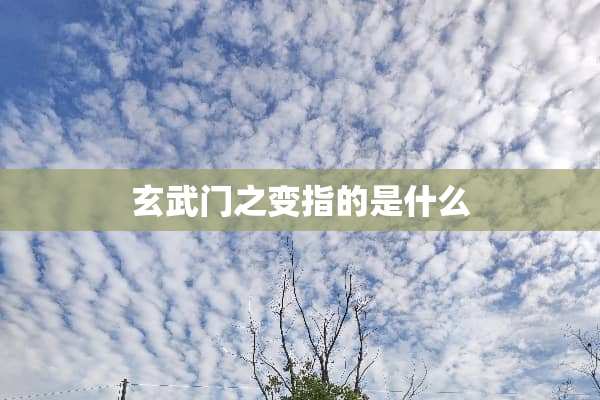 玄武门之变指的是什么