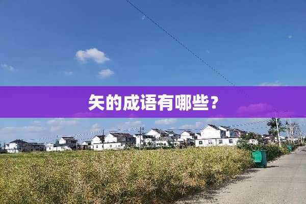 矢的成语有哪些？
