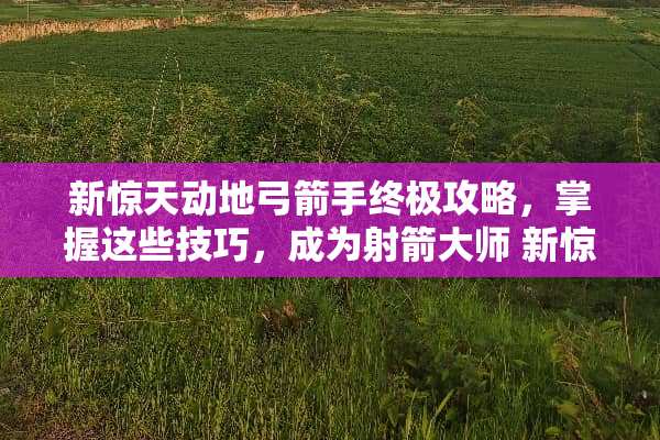 新惊天动地弓箭手终极攻略,掌握这些技巧,成为射箭大师 新惊天动地弓箭手攻略 新惊天动地弓箭手终极攻略,掌握这些技巧,成为射箭大师 新惊天动地弓箭手攻略
