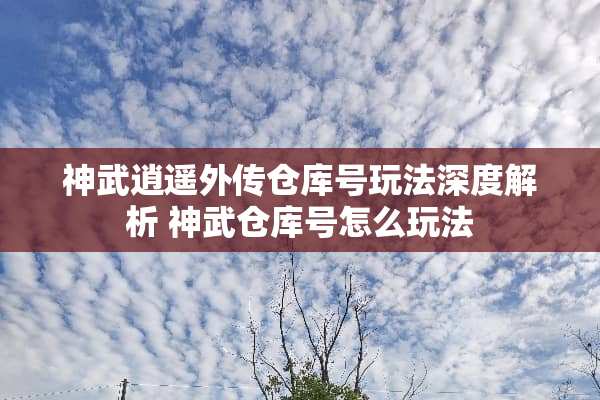 神武逍遥外传仓库号玩法深度解析 神武仓库号怎么玩法
