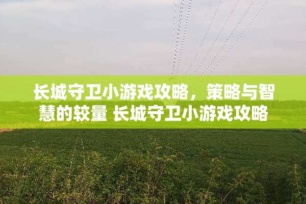 长城守卫小游戏攻略，策略与智慧的较量 长城守卫小游戏攻略