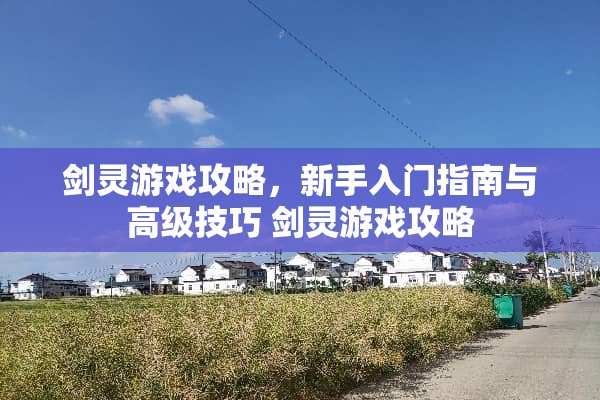 剑灵游戏攻略，新手入门指南与高级技巧 剑灵游戏攻略