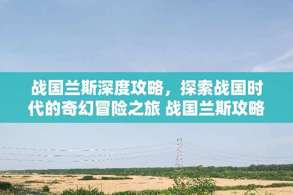 战国兰斯深度攻略，探索战国时代的奇幻冒险之旅 战国兰斯攻略
