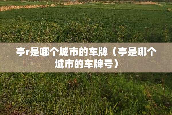 亭r是哪个城市的车牌（亭是哪个城市的车牌号）