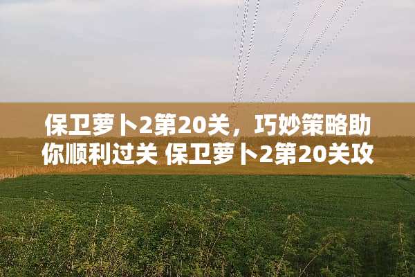 保卫萝卜2第20关,巧妙策略助你顺利过关 保卫萝卜2第20关攻略 保卫萝卜2第20关,巧妙策略助你顺利过关 保卫萝卜2第20关攻略