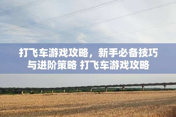 打飞车游戏攻略，新手必备技巧与进阶策略 打飞车游戏攻略