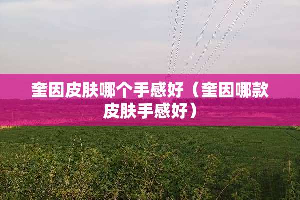奎因皮肤哪个手感好(奎因哪款皮肤手感好) 奎因皮肤哪个手感好(奎因哪款皮肤手感好)