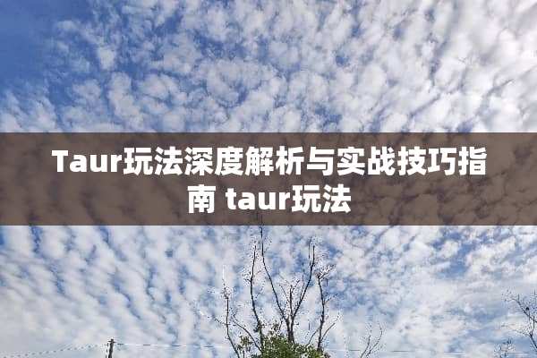 Taur玩法深度解析与实战技巧指南 taur玩法